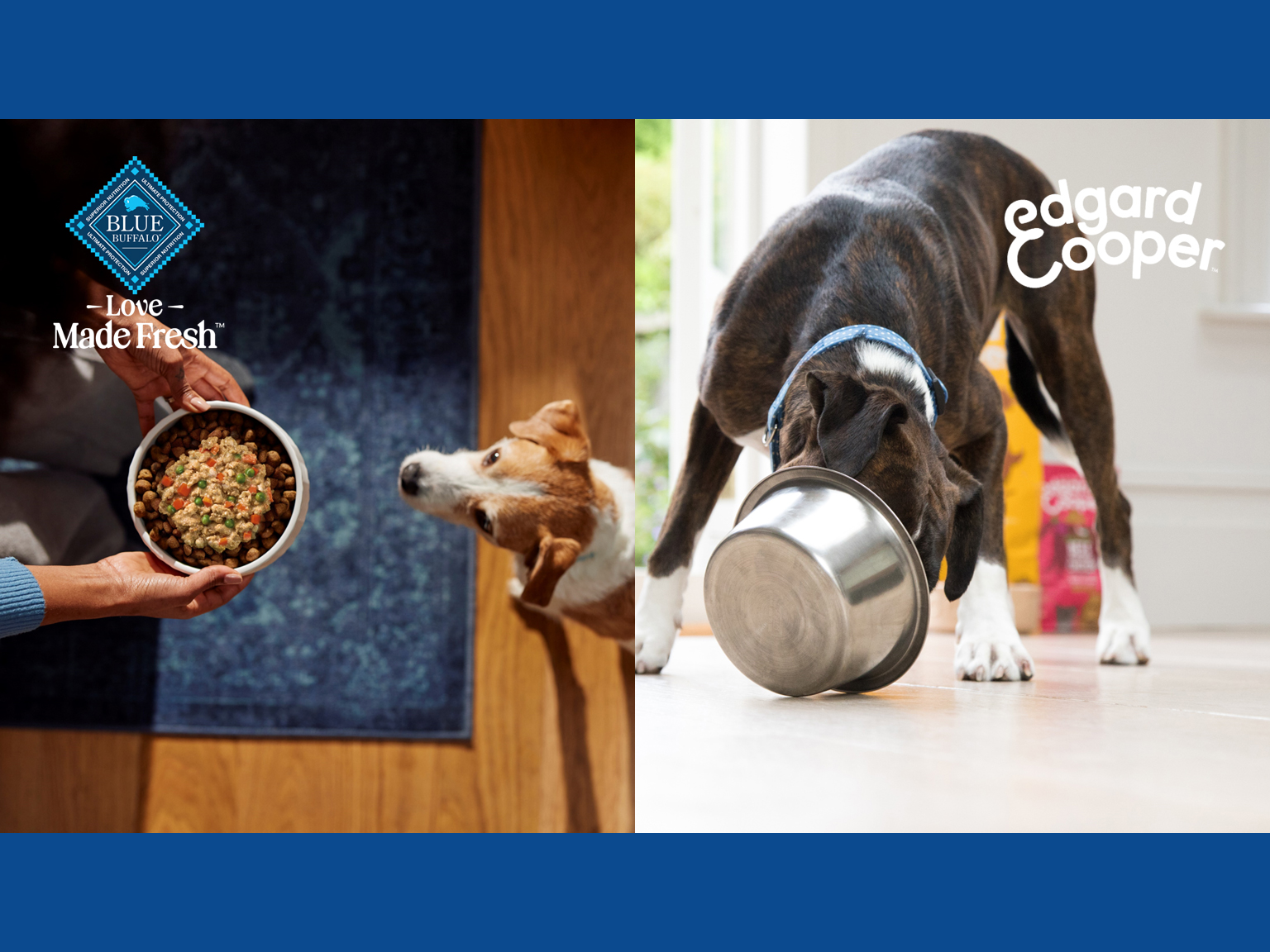 Blue Buffalo and Edgard Cooper image